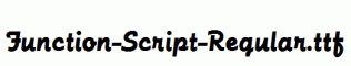 Function-Script-Regular.ttf