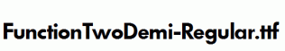 FunctionTwoDemi-Regular.ttf