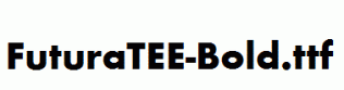 FuturaTEE-Bold.ttf