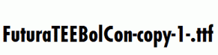 FuturaTEEBolCon-copy-1-.ttf