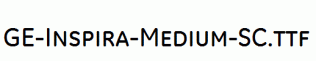 GE-Inspira-Medium-SC.ttf