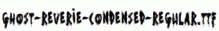Ghost-Reverie-Condensed-Regular.ttf