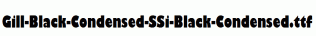 Gill-Black-Condensed-SSi-Black-Condensed.ttf