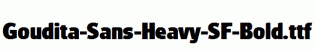 Goudita-Sans-Heavy-SF-Bold.ttf