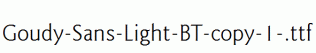 Goudy-Sans-Light-BT-copy-1-.ttf