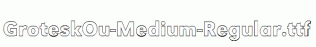 GroteskOu-Medium-Regular.ttf