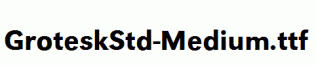 GroteskStd-Medium.ttf
