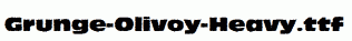 Grunge-Olivoy-Heavy.ttf