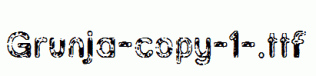 Grunja-copy-1-.ttf