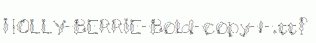 HOLLY-BERRIE-Bold-copy-1-.ttf
