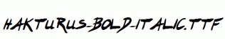 Hakturus-Bold-Italic.ttf