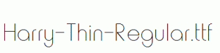 Harry-Thin-Regular.ttf