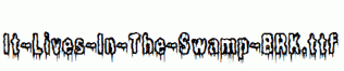 It-Lives-In-The-Swamp-BRK.ttf