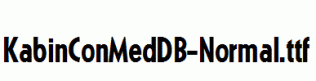 KabinConMedDB-Normal.ttf