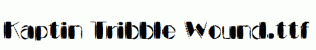Kaptin-Tribble-Wound.ttf