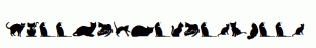kitty-cats-tfb.ttf