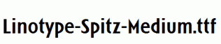 Linotype-Spitz-Medium.ttf