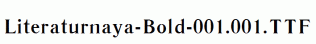 Literaturnaya-Bold-001.001.ttf