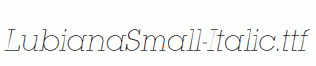 LubianaSmall-Italic.ttf