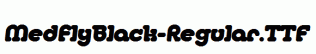 MedflyBlack-Regular.ttf