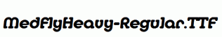 MedflyHeavy-Regular.ttf