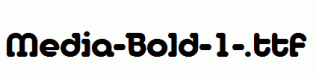 Media-Bold-1-.ttf
