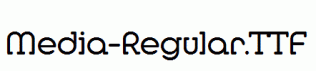 Media-Regular.ttf