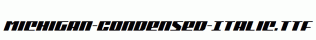 Michigan-Condensed-Italic.ttf