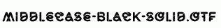 Middlecase-Black-Solid.otf