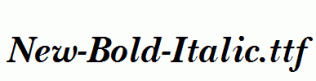 New-Bold-Italic.ttf