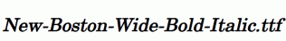 New-Boston-Wide-Bold-Italic.ttf