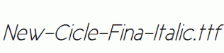 New-Cicle-Fina-Italic.ttf