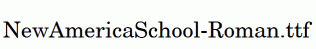 NewAmericaSchool-Roman.ttf
