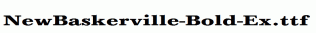 NewBaskerville-Bold-Ex.ttf