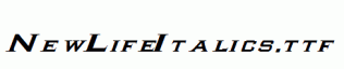 NewLifeItalics.ttf