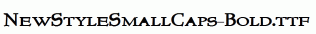 NewStyleSmallCaps-Bold.ttf