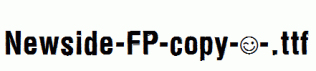 Newside-FP-copy-1-.ttf