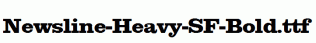 Newsline-Heavy-SF-Bold.ttf