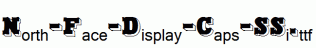 North-Face-Display-Caps-SSi.ttf