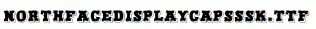 NorthFaceDisplayCapsSSK.ttf