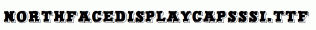NorthFaceDisplayCapsSSi.ttf