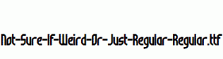 Not-Sure-If-Weird-Or-Just-Regular-Regular.ttf