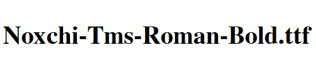 Noxchi-Tms-Roman-Bold.ttf