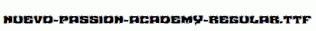 Nuevo-Passion-Academy-Regular.ttf