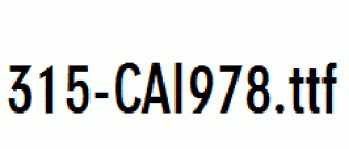 fonts 315-CAI978.ttf