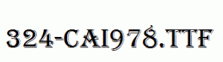fonts 324-CAI978.ttf