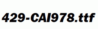 fonts 429-CAI978.ttf
