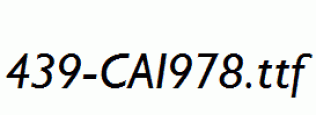 fonts 439-CAI978.ttf