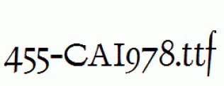 fonts 455-CAI978.ttf