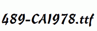 fonts 489-CAI978.ttf